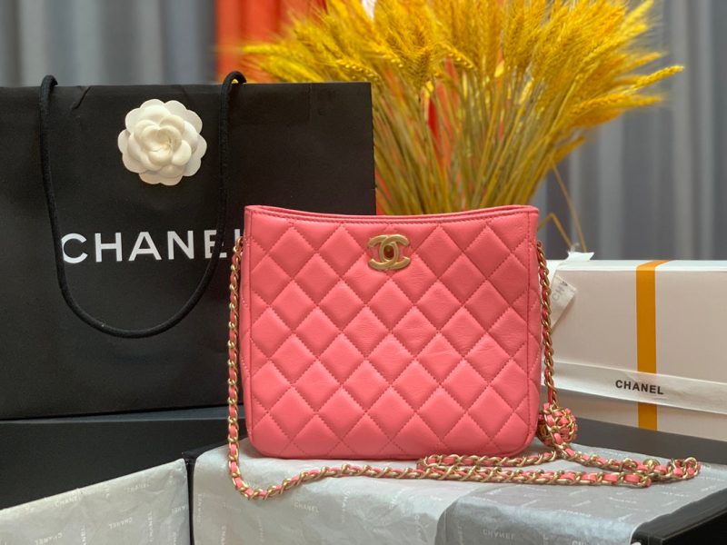 CHLHobo Handbag PiNike Bag For Women 16cm/6in