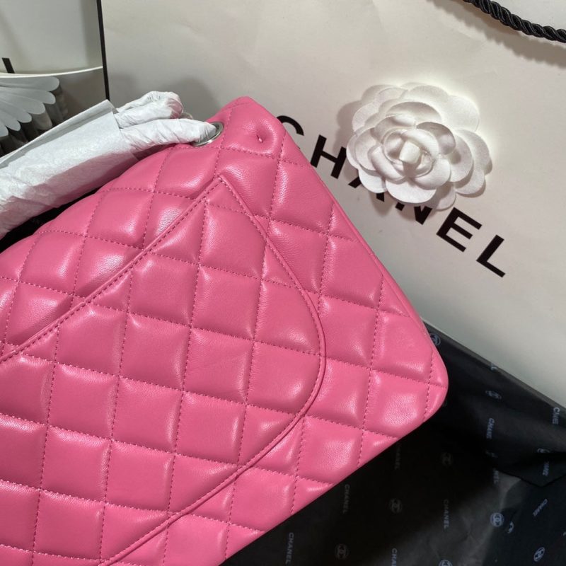 CHLLarge Classic Handbag Gold Hardware PiNike For Women, Women’s Handbags, Shoulder Bags 11.8in/30cm - Image 8