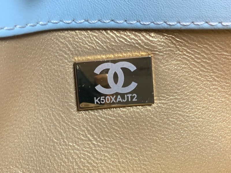 CHLHobo Handbag Light Blue Bag For Women 16cm/6in - Image 4