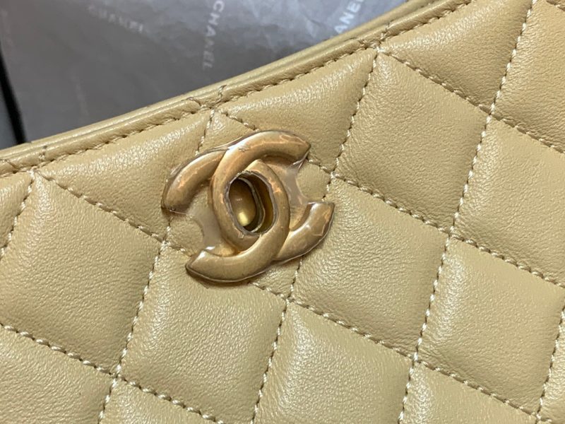CHLHobo Handbag Beige Bag For Women 16cm/6in - Image 7
