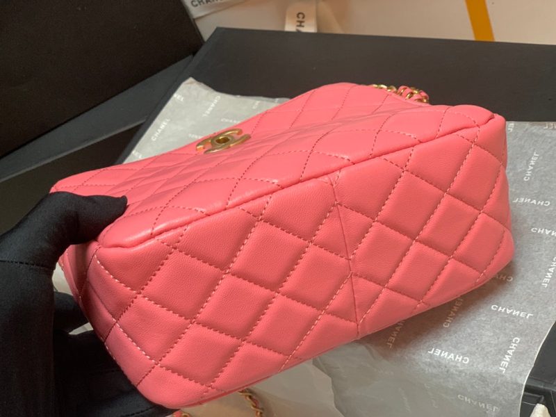 CHLHobo Handbag PiNike Bag For Women 16cm/6in - Image 4